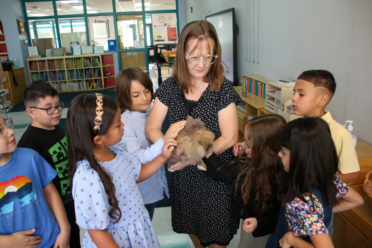 Drachman students pet their bunny classmate.
